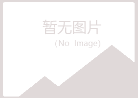 吉林晓夏咨询有限公司